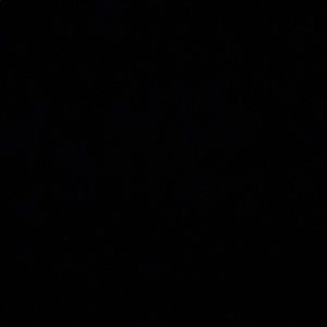 Meet your Posher, Allie